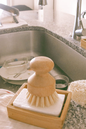 Dish Soap Block Zero Waste